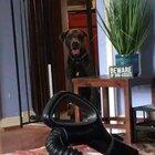 A clear solution to the problem