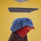 Practicing Cloth and Fur Sims in Houdini