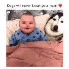 Dogs Are The Goodest Bois