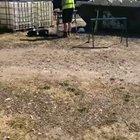 Guy narrates colleagues like Attenborough