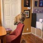 The person filming definitely knew what was coming..