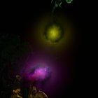 A fluid simulation app creation