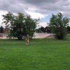 Grandma surprised doggo at the park. I don’t even know how he spotted her but his reaction was priceless.