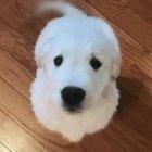 Hey YOU, look at me !