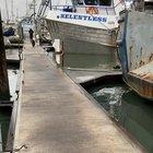 Land doggo vs sea doggos