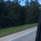 Just a Sunday afternoon drive in Magnolia, TX!