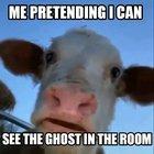 i think he's scared of me now🙄