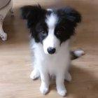 Instructions unclear