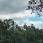 Just understood the importance of background music 🎶