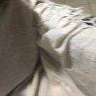 I think that my cat would provide a lot of material for this sub