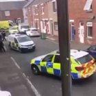 100% ginger for sure, yeah?