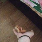 There is a monster under my bed