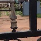 So how’s quarantine going for you guys??