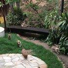 I rescued a pregnant street dog and her babies really enjoy hiding.