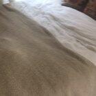 Not using the heater during quarantine to save $$. Thought the cat was missing 🙃