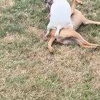 I am honestly not sure what 