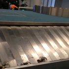 Human's and their stupid idea's