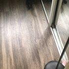 Kitten meets self for the first time..