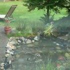 I’m so happy for them