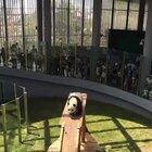 He played that off pretty smoothly