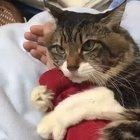 This is mine, Please don't take it from me