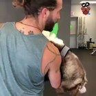 System Failure, pls reboop.