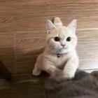 I am very hungry. let me eat