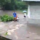 Saving a dog, no hesitation