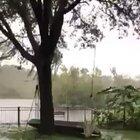 An island of trees floating by during Hurricane Dorian