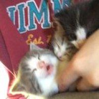 Heath has a lot to say at naptime today