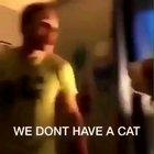 Always blame the cat.