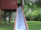 Mother cat carrying a kitten up a slide while another one slides down. (Not my video)