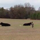 i'd say Kennedy takes half of the blame!