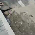 Foi na rua pedir volta do AI-5 e quando levou voz de prisão, gritou pedindo ajuda da mãe