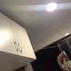 “Imma call this bug peter parker” famous last words from my sister in law.