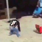 todo ano isso não aguento mai 😭