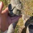 Please leave a message after the tone