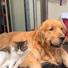 Best mates or a love story?