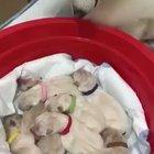 She’s so proud of her litter