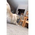 Big boi hits every woah