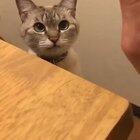 3 second video to make your day better ♥