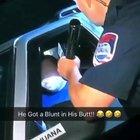 Dude need to find a better hiding spot.