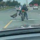 He know what you did yesterday