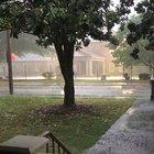 A beautiful morning in Raleigh, North Carolina