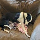 boy of l o n g n e s s always laying on my OOTD