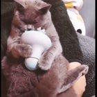 Getting a good massage!