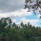 Damn that's romantic