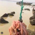 🔥 catching crabs effectively with intestines 🔥