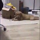 Impossible to Resist