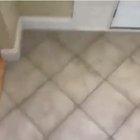 Guy slips on a banana peel